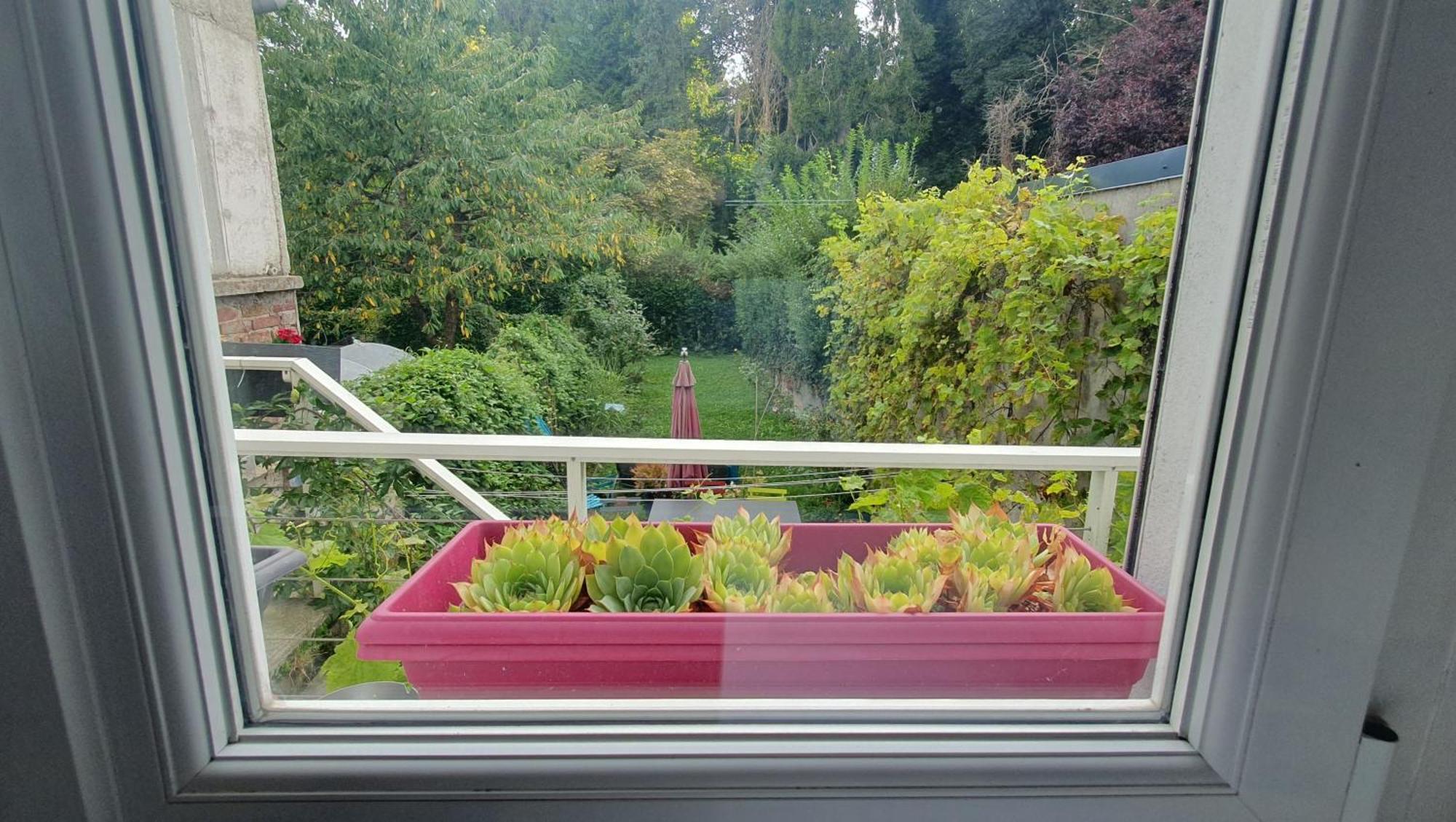 Maison Calme Terrasse Et Jardin Vue Foret Amiens